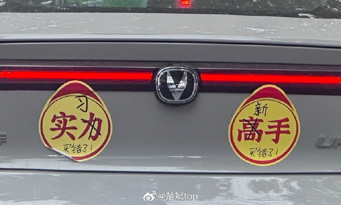 Word文档图片