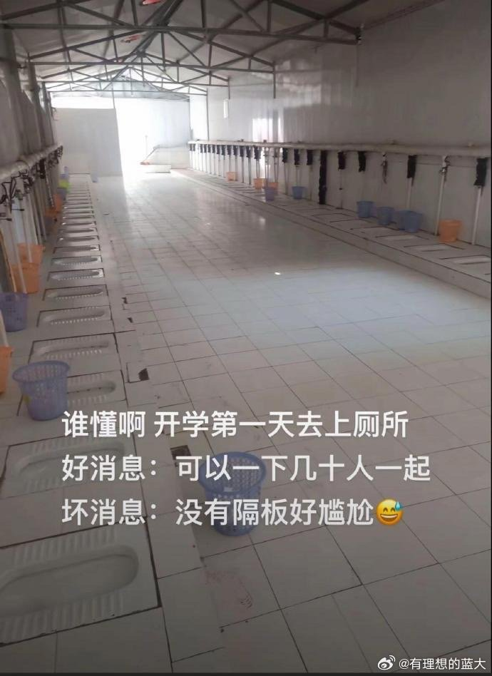 Word文档图片