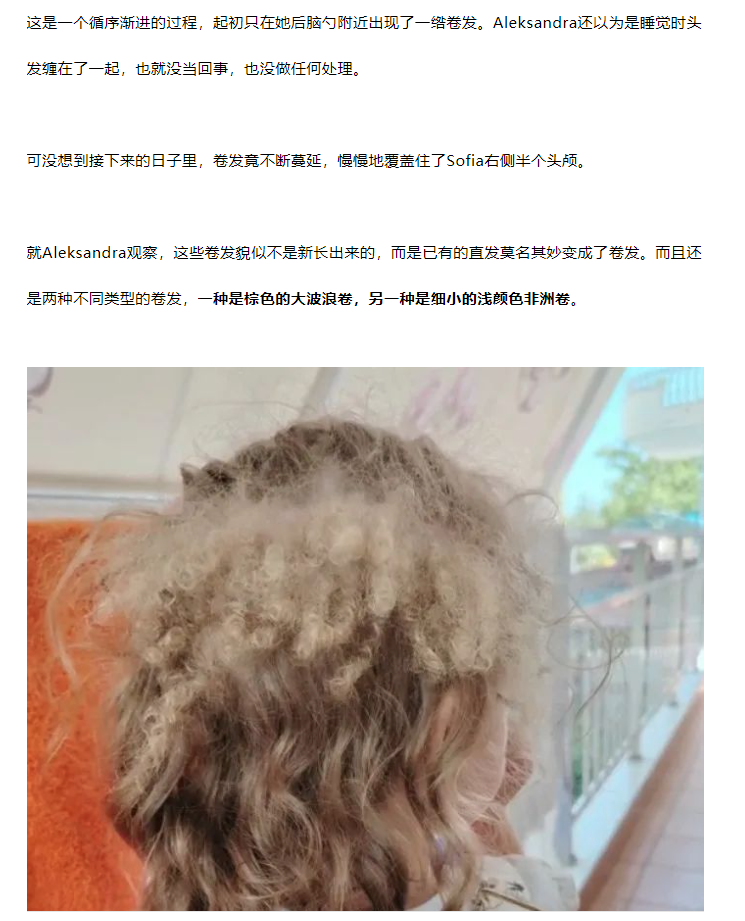 Word文档图片