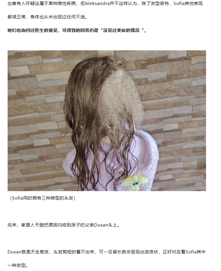 Word文档图片