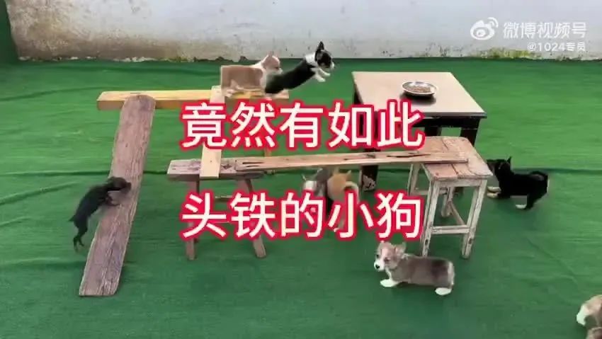 Word文档图片