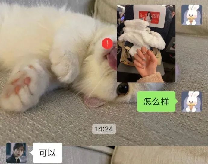 Word文档图片