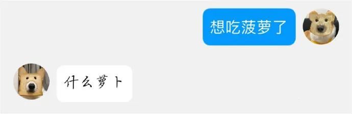 Word文档图片