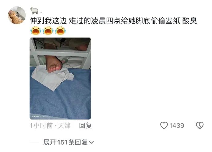 Word文档图片