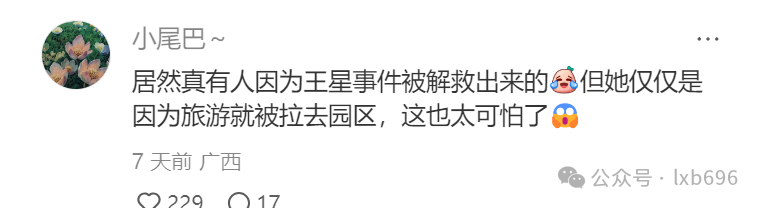 Word文档图片