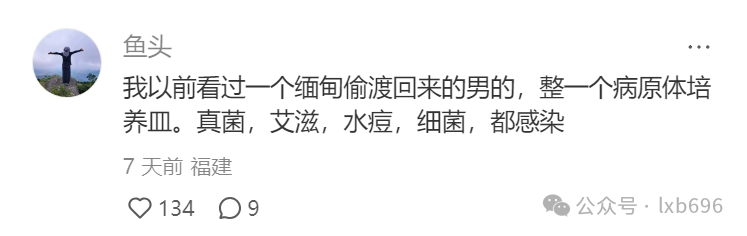 Word文档图片