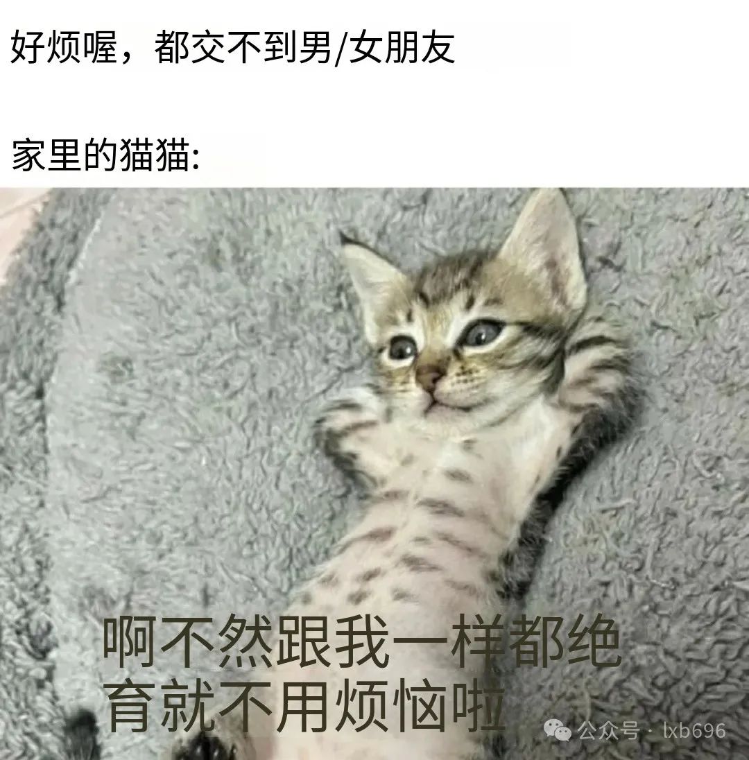 Word文档图片