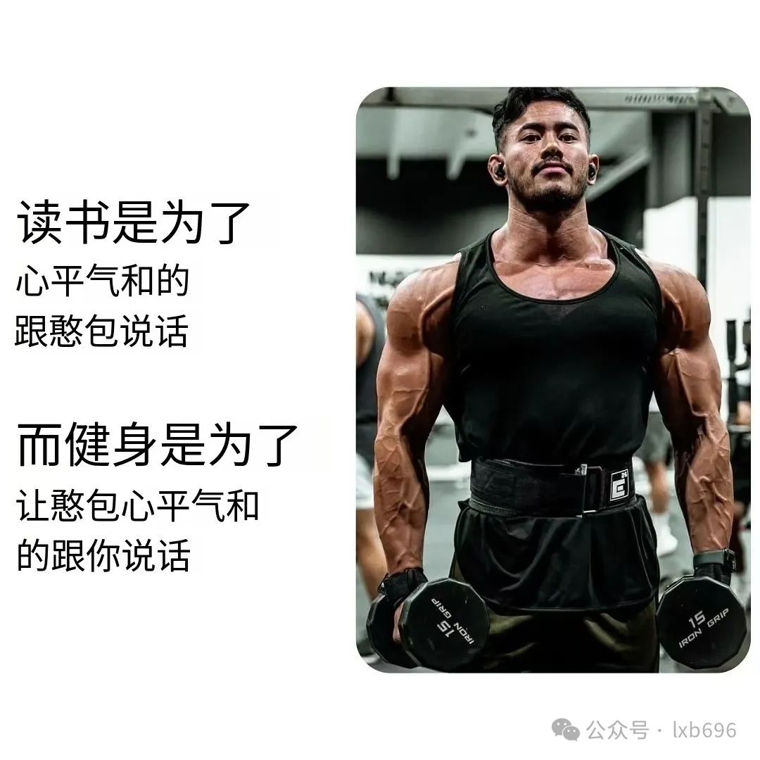Word文档图片
