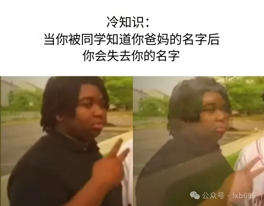 Word文档图片